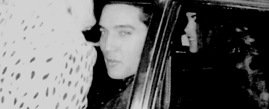 photo elvis