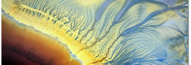 La pensée du jour (234)