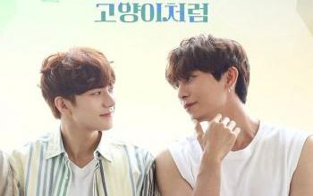 Critique : Love is Like a Cat