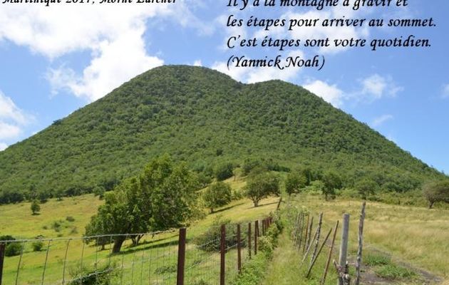 La montagne à gravir....