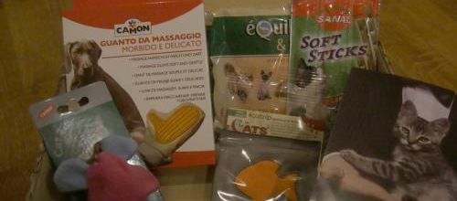 Grisa et la Kittybox de Janvier