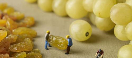 Raisins secs ஃ