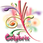 colybrix