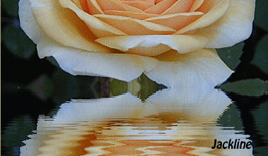 De jolies images pour ceux qui sont sages...