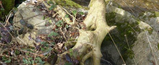 Bomal sur Ourthe