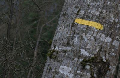 La Marque Jaune (1ère partie)