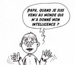 Qu'est ce que l'intelligence ?