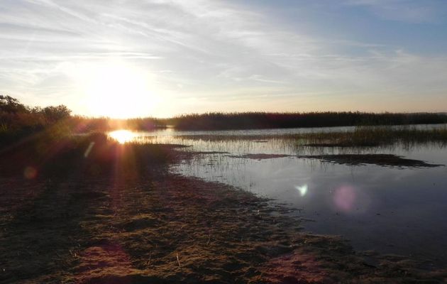 coucher de soleil au lac de Sanguinet