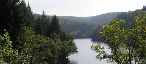 La forêt limousine