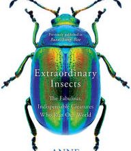 [Kindle] Extraordinary Insects: The Fabulous, Indispensable Creatures Who Run Our World download
