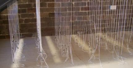  Barbara Halnan / Articulate Project Space 