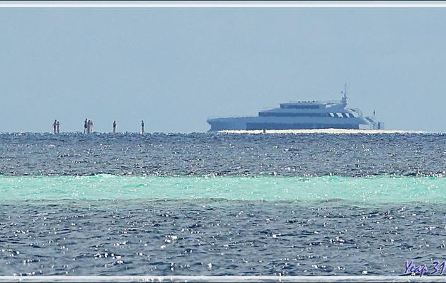 Aux Maldives, certains marchent sur l'eau ! (Banc de sable en plein milieu de l'atoll, zoom 1200 mm)