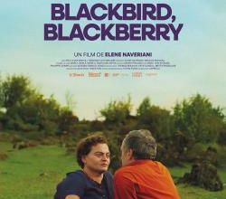 Semaine du 6 au 12 mars 2024