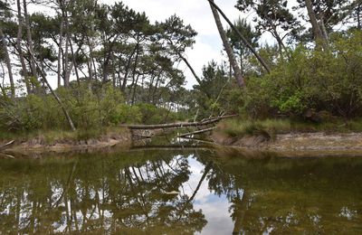 EB - Le village de Piraillan sur la presqu'île de Lège Cap-Ferret...