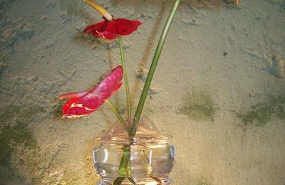 vases