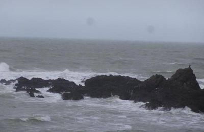 Du gris, du gris, encore du gris sur la Bretagne, la pointe du Castelli