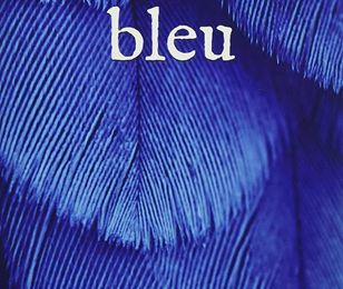 L'oiseau bleu ... 