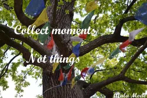 Collect moments not things #19