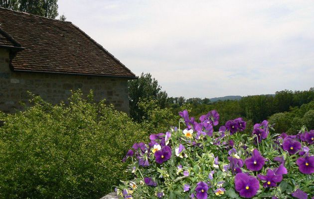 CUREMONTE, JOYAUX MEDIEVAL (Corrèze - 19)