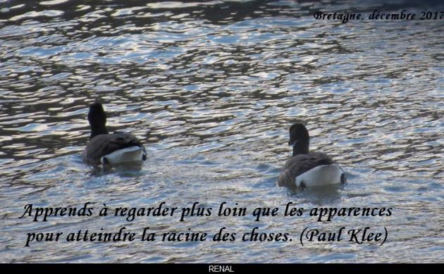 Apprends