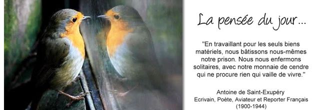 La pensée du jour (225)