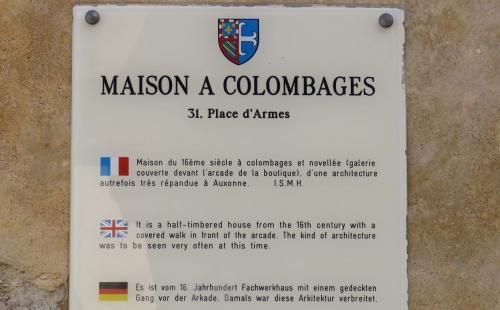 Auxonne - 2  (21)