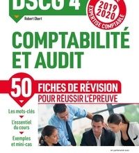 [download pdf] Comptabilité et audit DSCG 4  - Fiches de révision