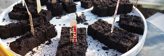 Notre presse-mottes et les semis de printemps 