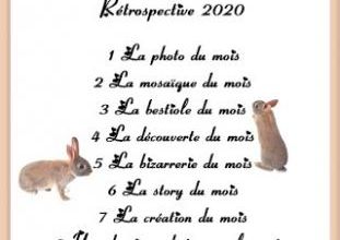 Rétro 2020 : Mars