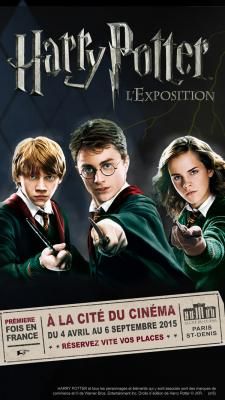 Expo Harry Potter