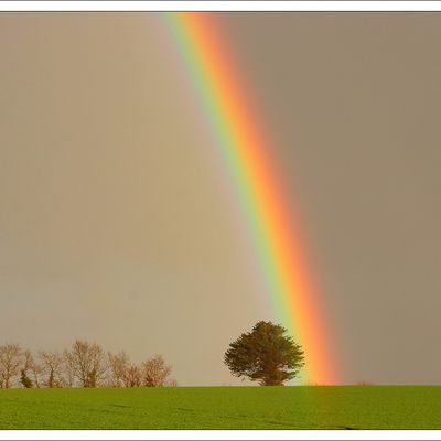 Samedi 15 Mars 2025