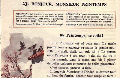 Semaine 23 Bonjour, Monsieur Printemps