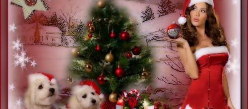 Joyeux Noël .