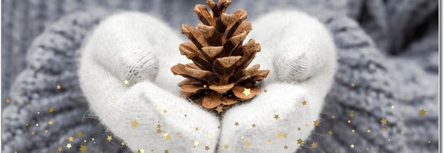 Joyeuses fêtes !