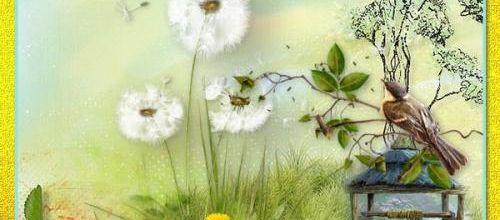 Joli printemps...
