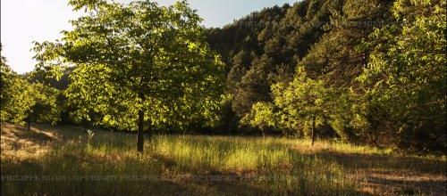 Lueur du soir dans la région de Corinthe