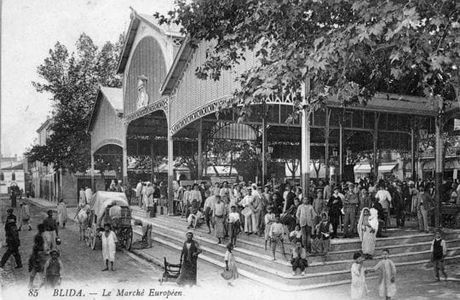 Une visite de l'Algérois