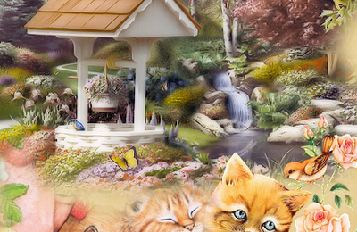 mon paradis imaginaire