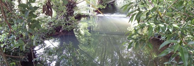 reflets à Saint Jean d'Angély 17