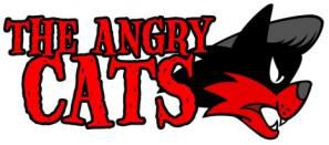 The Angry Cats - En attendant l'album...
