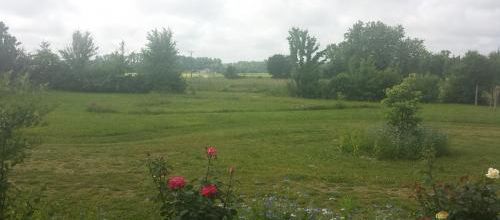 Kerterre de Cécile