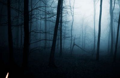 Il n'est pas de nuit si profonde 