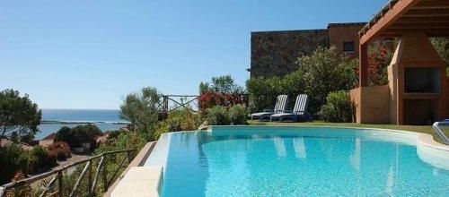 Les squatters de piscine...