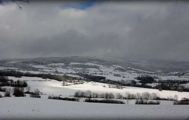 A cheval dans la neige