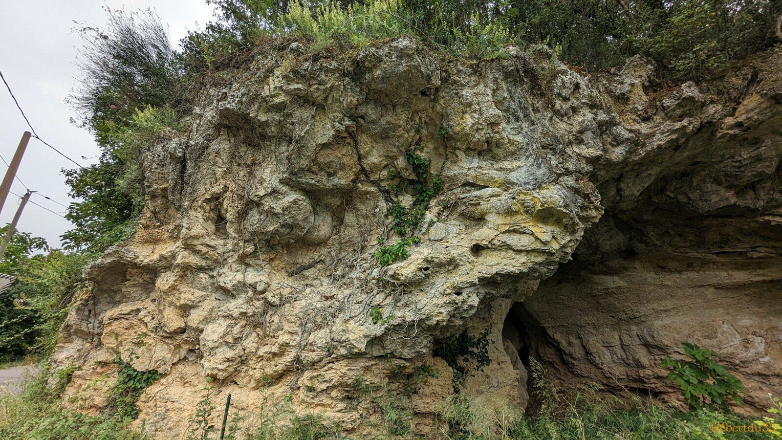 Belgentier dans le Var