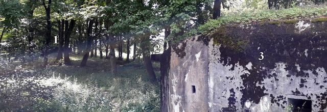 La ligne Maginot aquatique