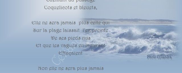 Poésie: Elle ne sera...1 03 2016