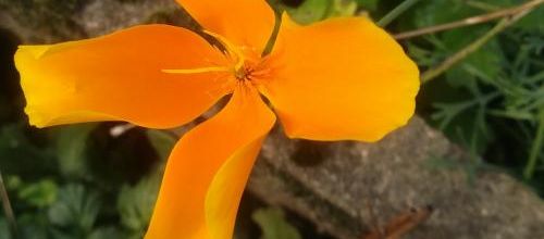 Ma photo préférée du 08 mars