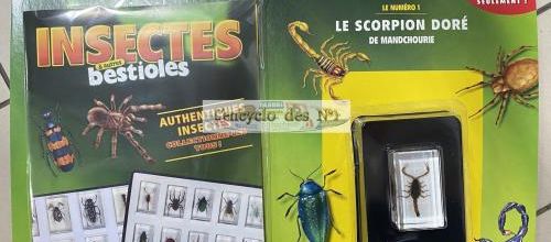N° 1 Insectes & autres bestioles - Lancement