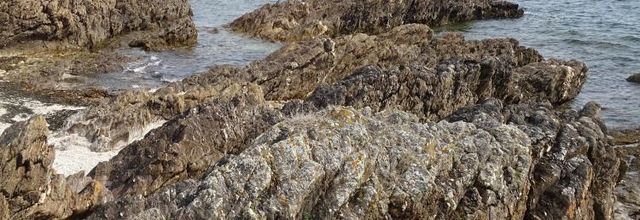 Moëlan-sur-mer : sur GR 34 depuis Brigneau (Finistère) (suite)